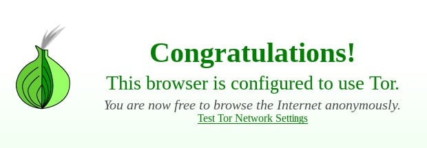 what does the tor browser do